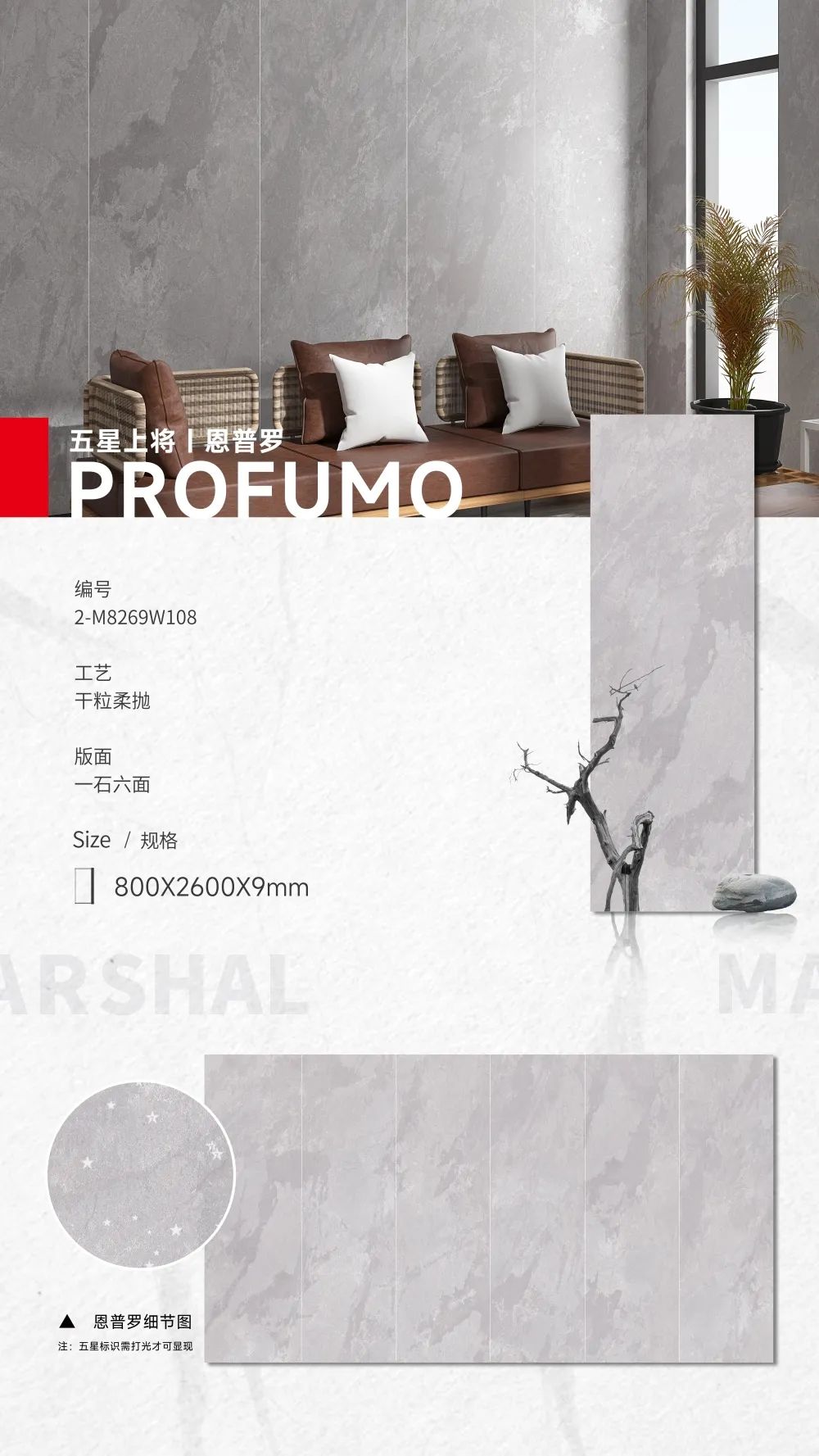 五星上將| 超級IP產(chǎn)品，打造理想生活樣本(圖7)